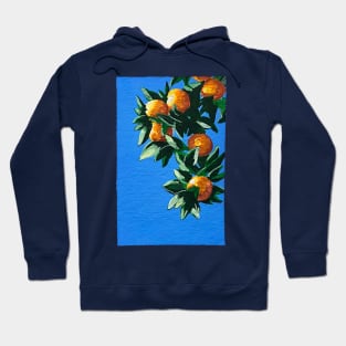 Monsanto Oranges Hoodie